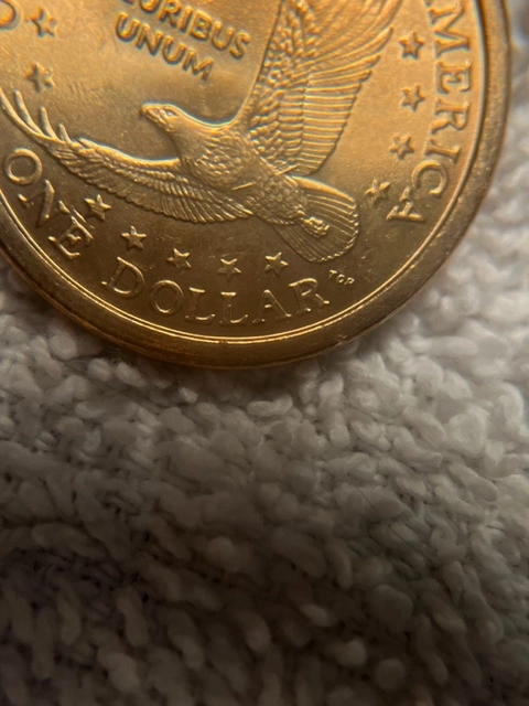 Your-Favorite-Denomination-To-Coin-Roll-Hunt?